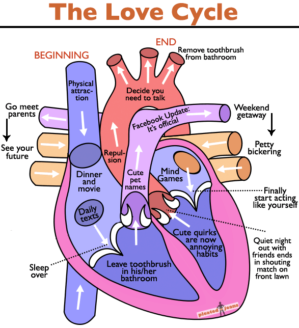 The Love Cycle (Chart) | Pleated Jeans