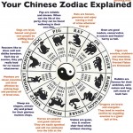 Your Chinese Zodiac Explained