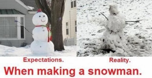 snowman-expectations-vs-reality.jpeg