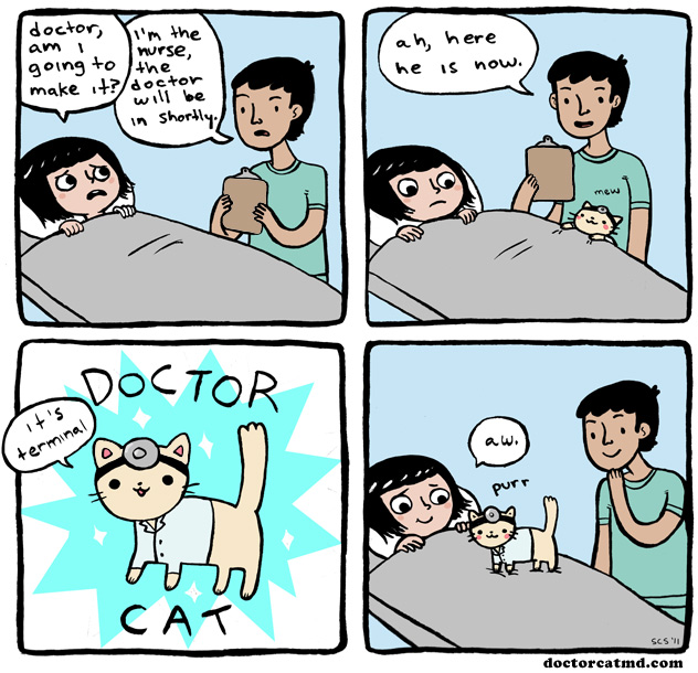 2011-01-10-doctor-cat.jpeg
