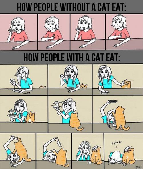 funny-cartoon-people-cats-eat-1.jpg