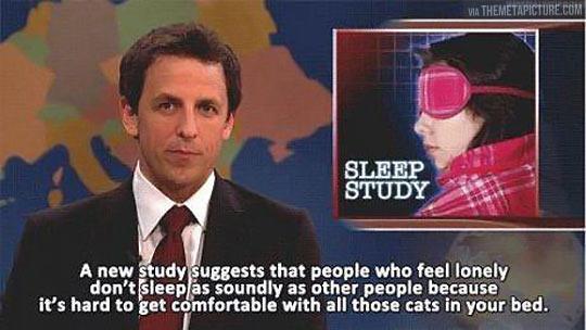 funny-sleep-study-lonely-cats-1.jpg