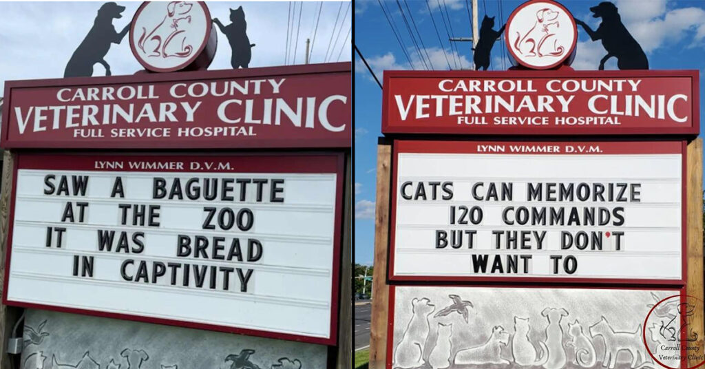 This Vet Clinic Boosts Business Thanks To Its Hilarious Signs 30 Pics