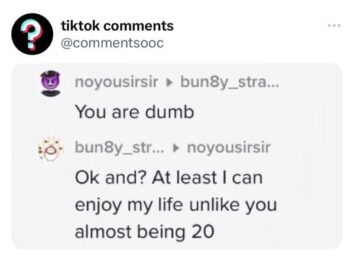 Funny And Totally Unhinged Tiktok Comments Shared By This Twitter Page