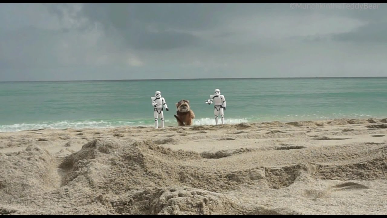 The missing ewok from Rogue One: A Star Wars Story