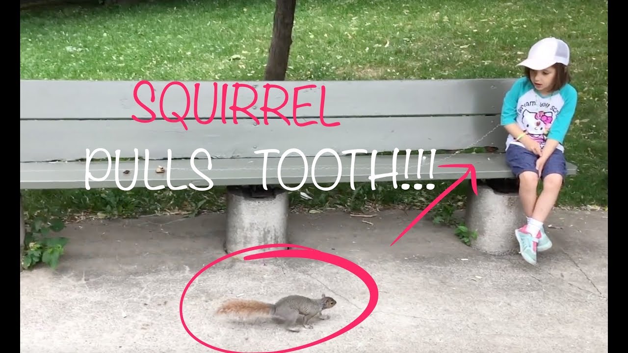 Dad Uses SQUIRREL to Pull Daughter's Tooth!