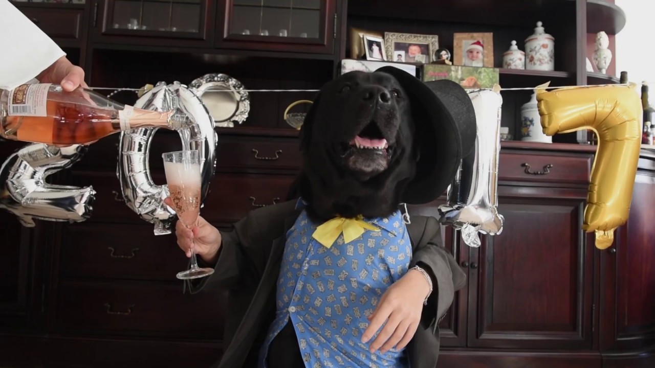 We wish you a Doggy New Year