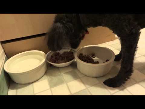 Louie's Eating Ritual