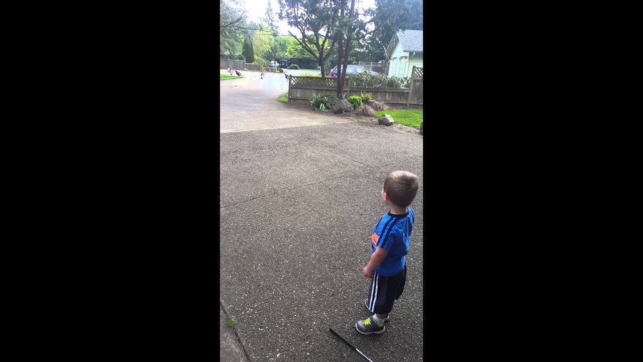 2 year old talks to turkeys