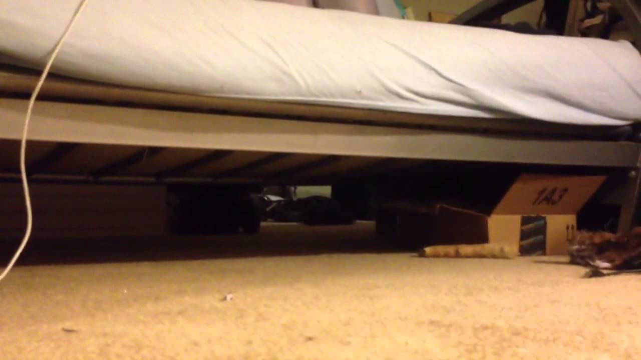 Watson Corgi Error: Undulating Edition