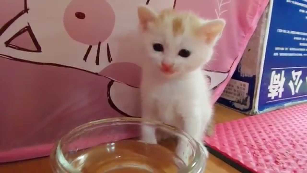 Ben drinks cutely