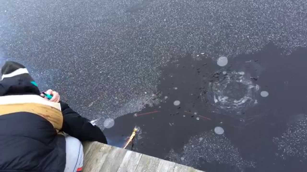 meanwhile in Sweden, fishing with fireworks