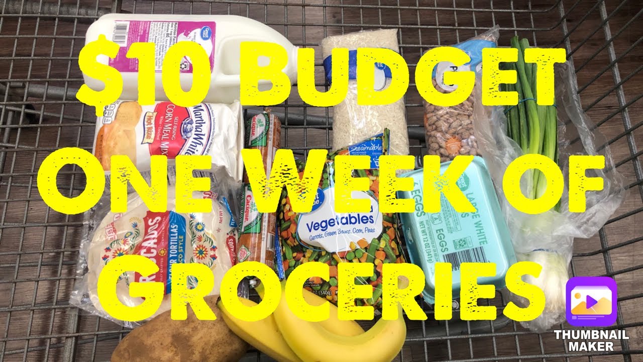 $10 Budget for 1 Week of Groceries | 21 meals for 48 cents each! | Low Budget Challenge