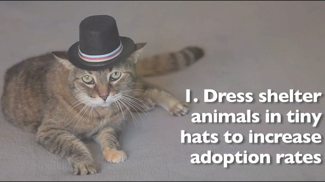 14 Ideas for a Slightly Better World