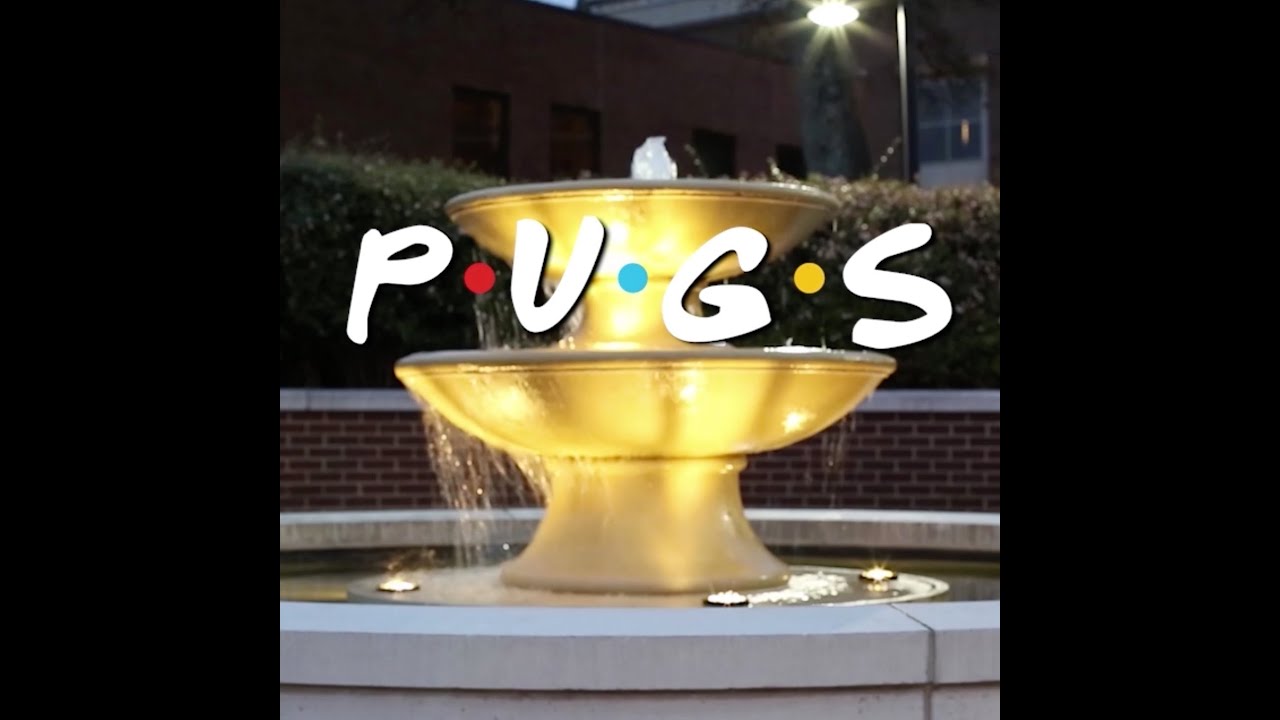 TV Show Compilation - Doug The Pug