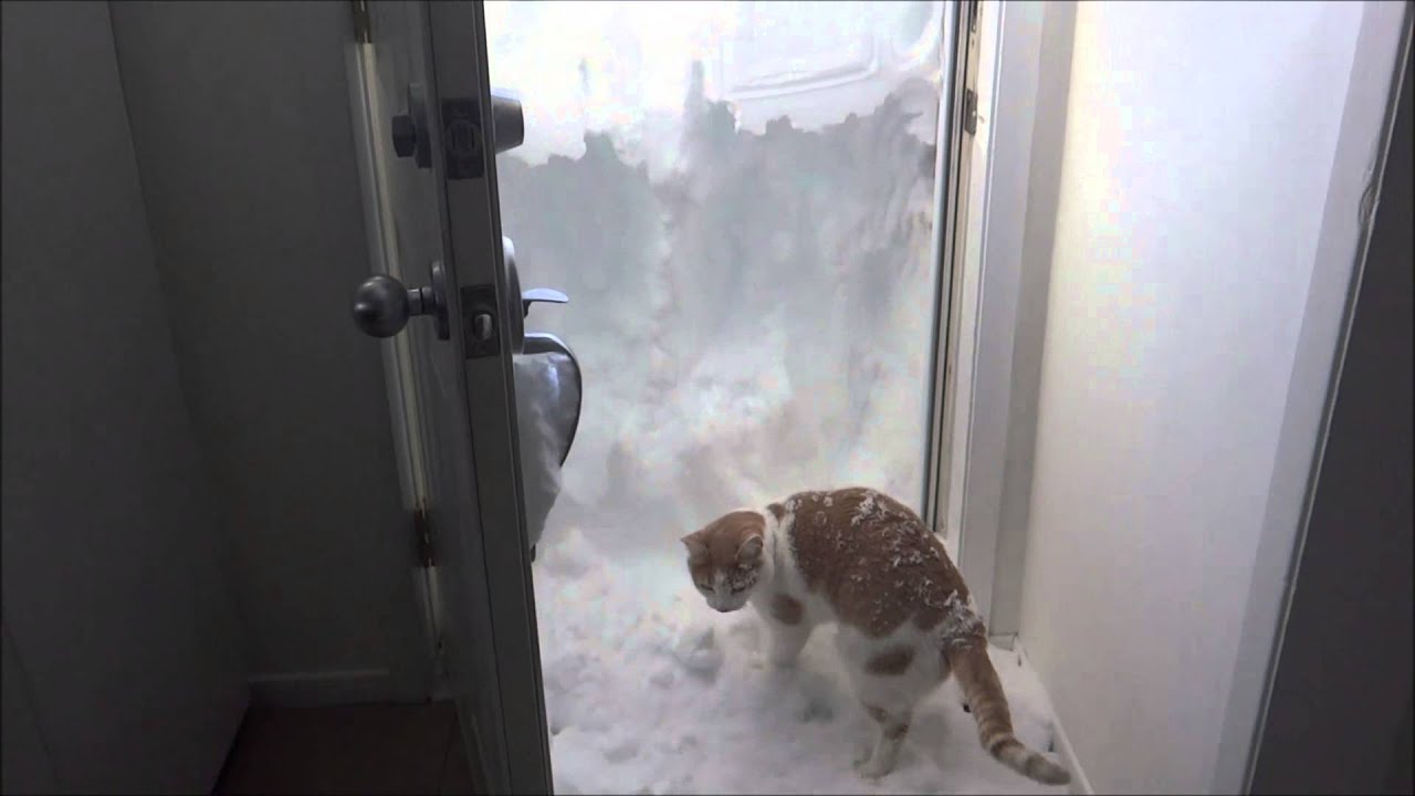 rudiger only kind of loves the snow