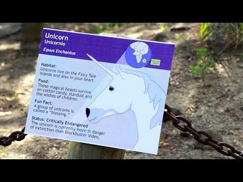 Unicorn at the Zoo