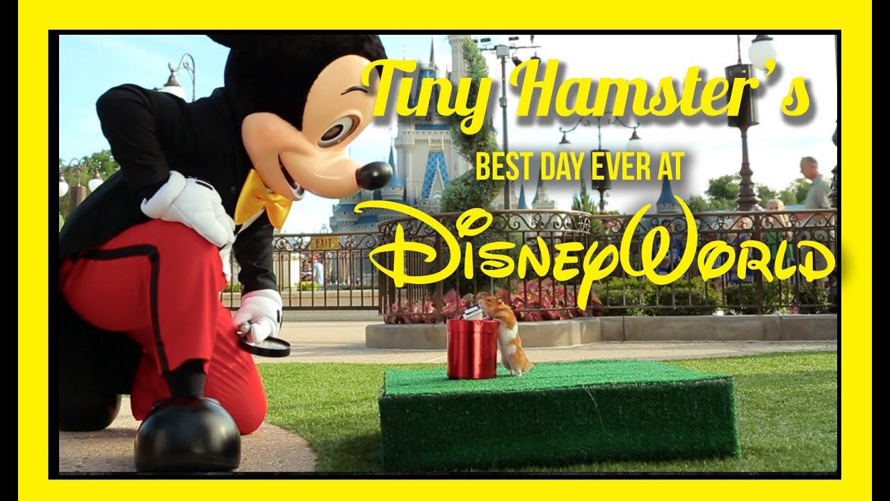 Ep. 9 - Tiny Hamster's Best Day Ever at Walt Disney World