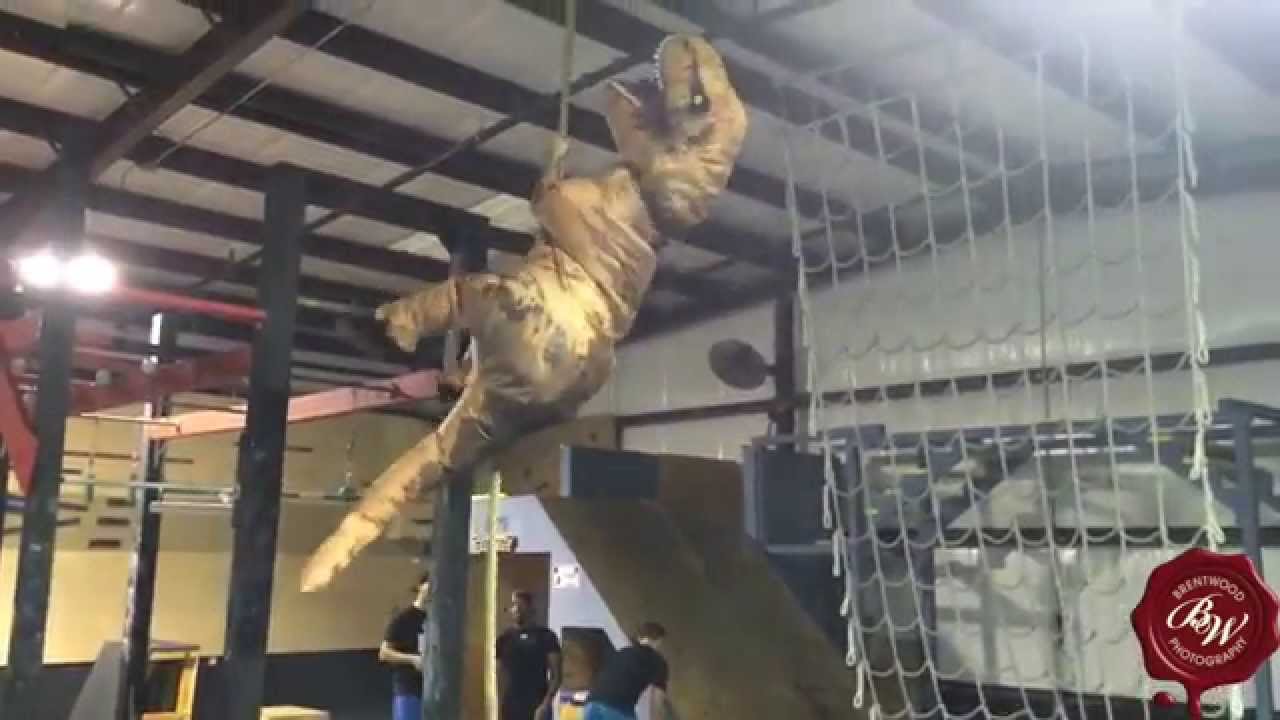American Ninja-Saurus!