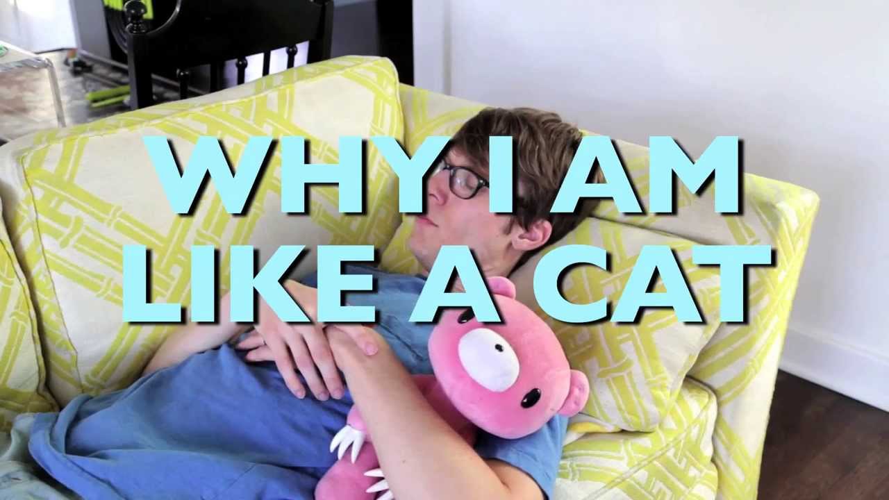 Why I Am Like a Cat