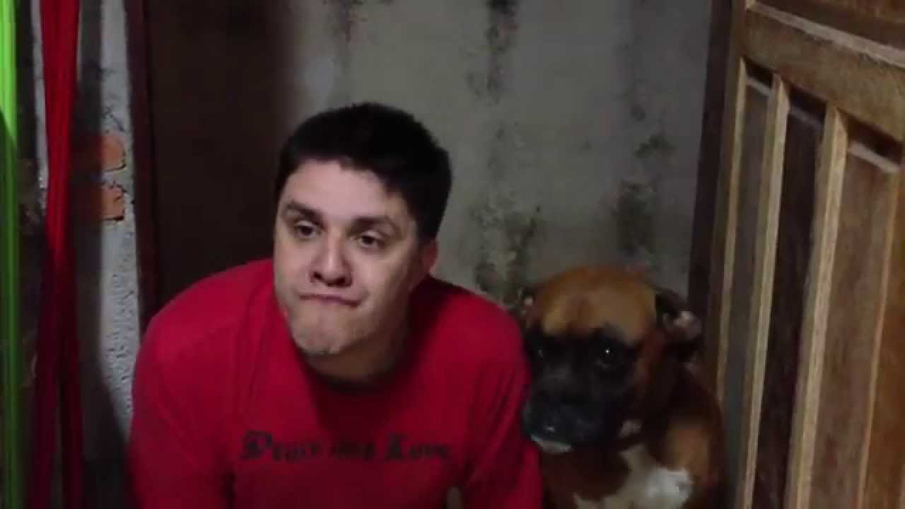Just Dogs - Apenas Cães