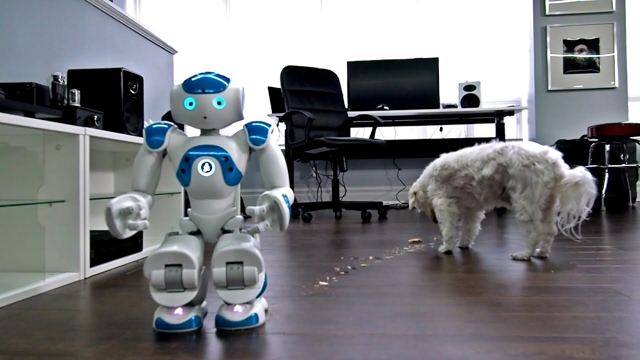 Robot + Dog + Pop-Tart = ?