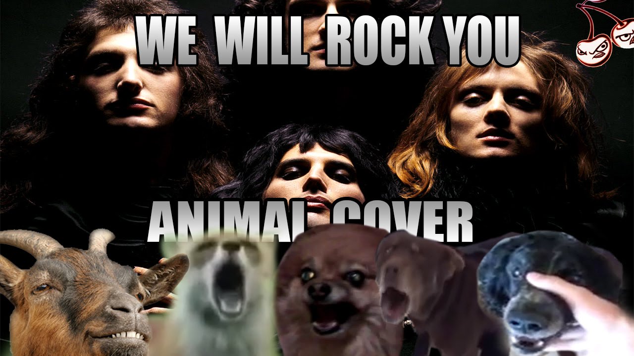 Queen - We Will Rock You (Animal Cover)