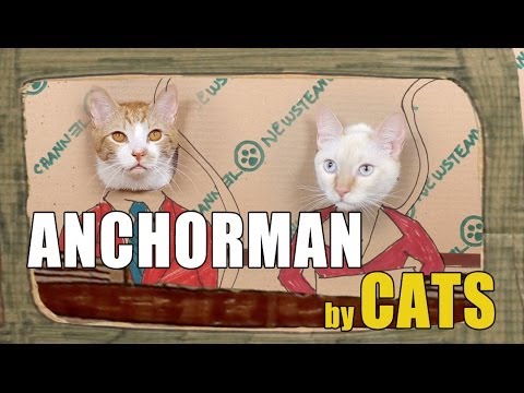 Anchorman Remade by Cats