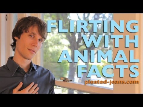 Flirting With Animal Facts