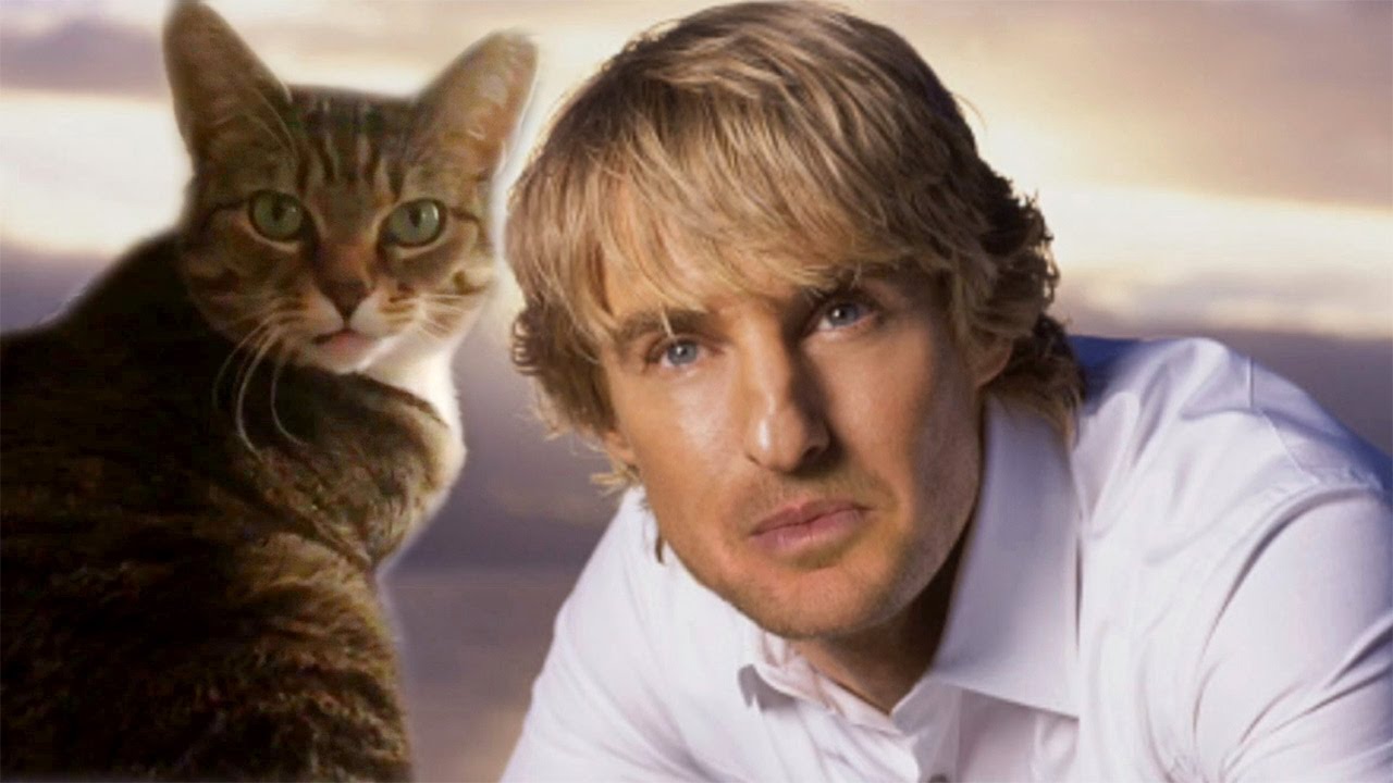 Owen Wilson as a Cat