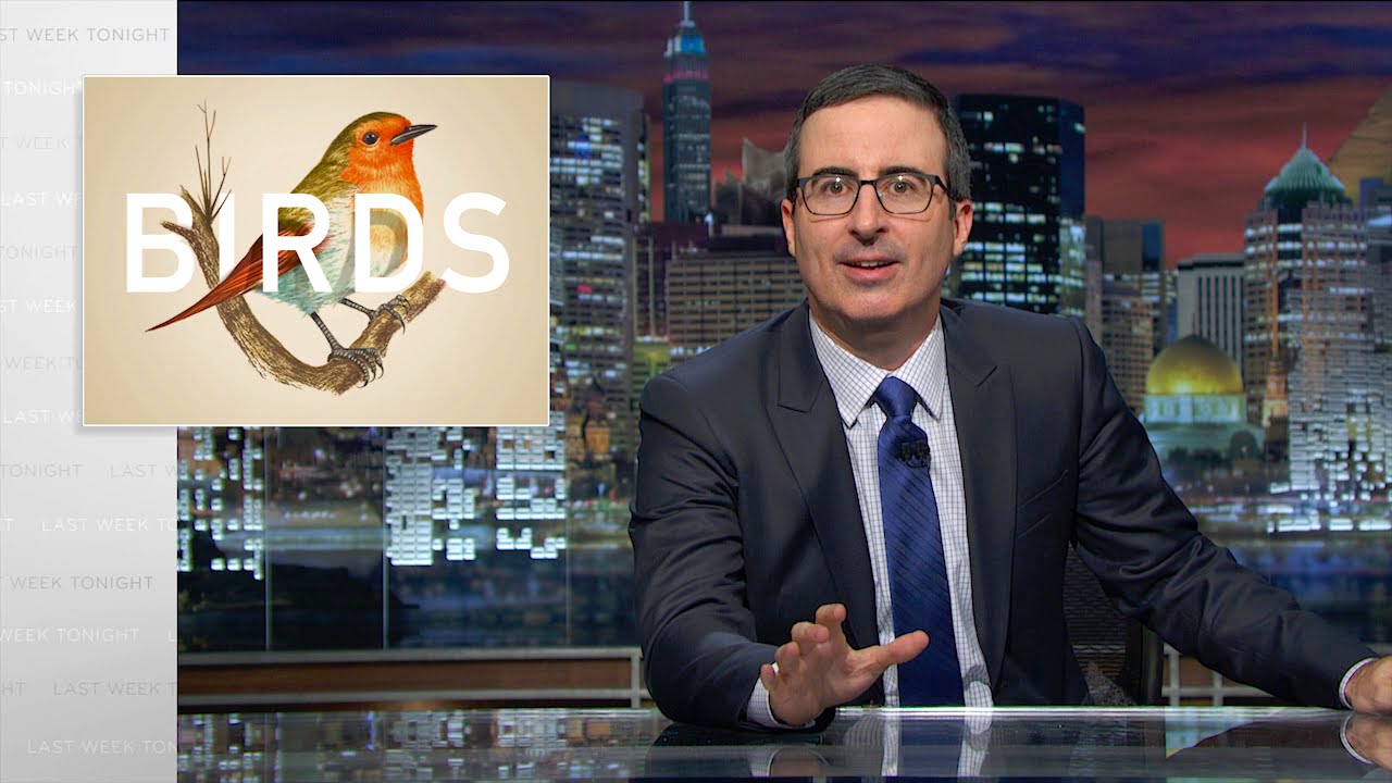 Birds: Last Week Tonight with John Oliver (Web Exclusive)