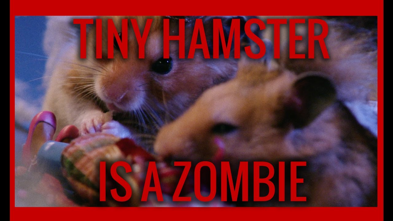 Ep. 11- Zombie Tiny Hamsters Rise From The Grave To Eat In Comedy Sketch