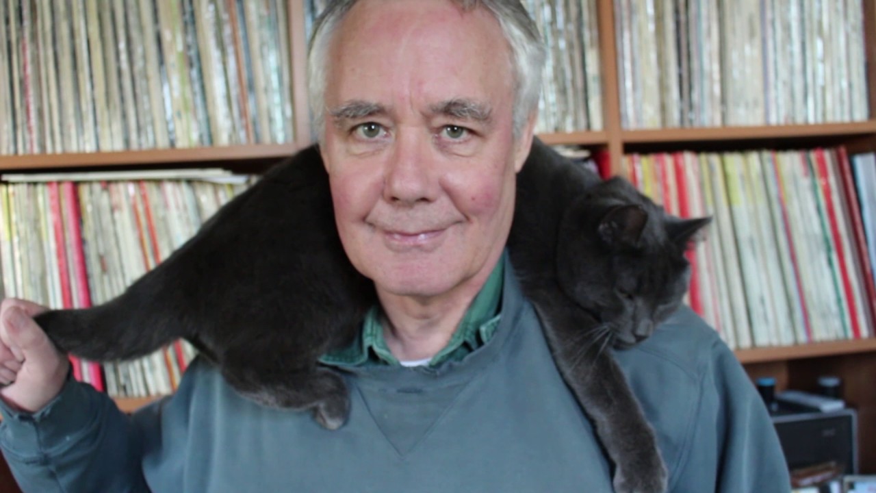 How to put on a jumper without disturbing your cat