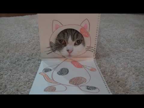 着ぐるみ風なねこ。-Animal costume and Maru.-