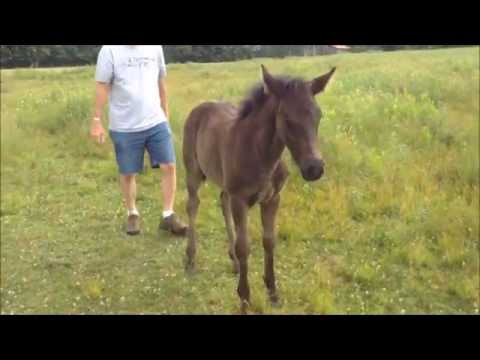 Scratch My Butt!