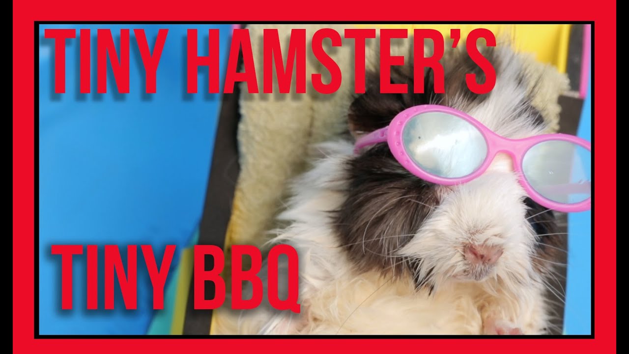 Ep. 8 - Tiny Hamster's Tiny BBQ at 4th July - Tiny BBQ Feast