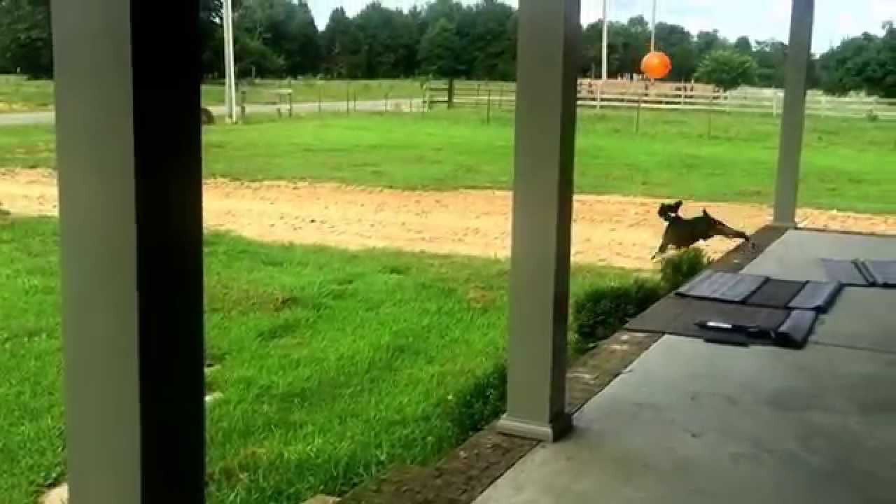 Rose plays with a balloon