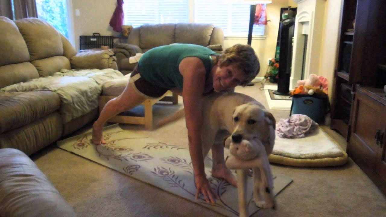 Maggie the Yoga Dog