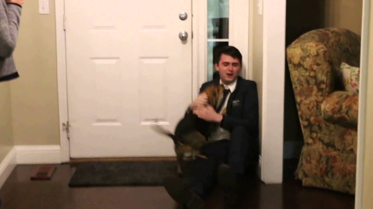Dog reacts to return of Nathan after two year Mormon mission