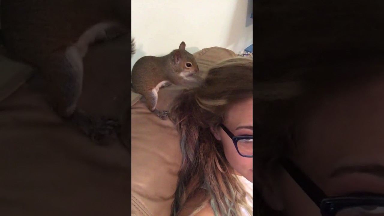 Squirrel Burying Cheeto