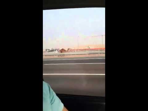 Runaway Camel Runs Down Highway | Only In Abu Dhabi