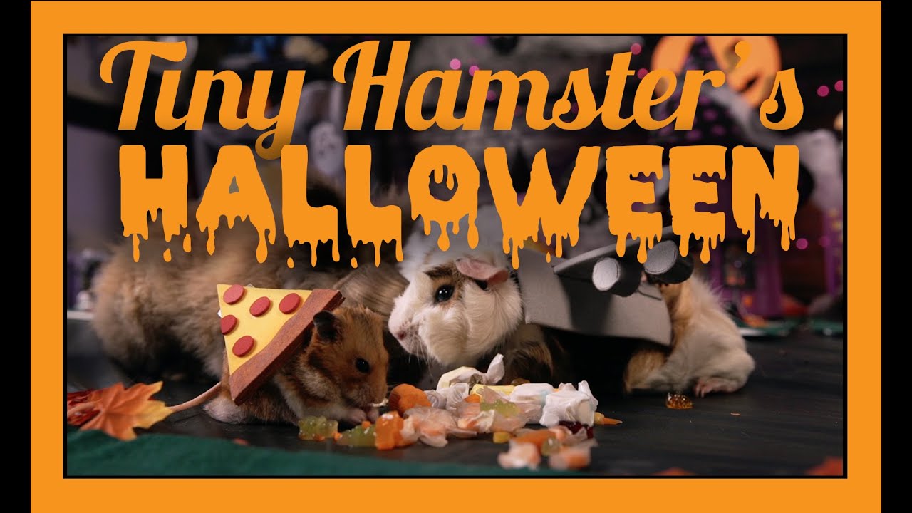 Ep-10 of Tiny Hamster's Halloween: Tiny Hamster Goes Trick-or-Treating in a Pizza Rat Costume