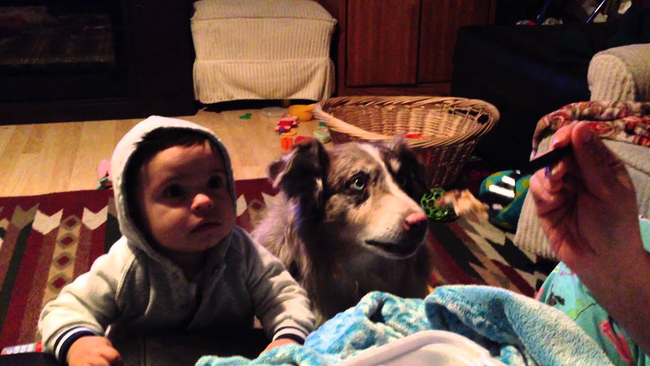 Dog Says Mama and Baby Can't | DIY in Description