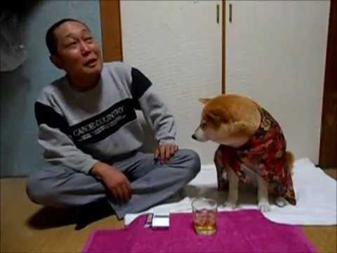 お詫び
