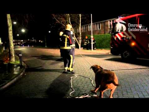 Hond helpt brandweer in Harderwijk