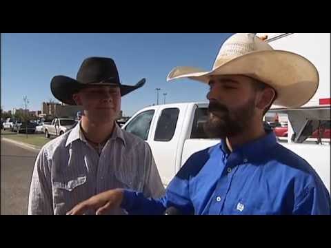 TEXAS TECH RANGE HORSE TEAM  HELPS CATCH ESCAPED COWS
