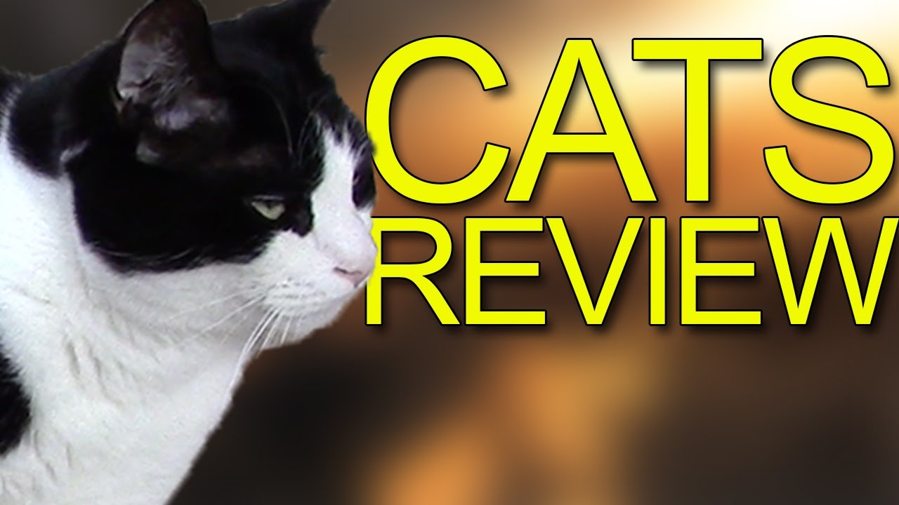 Cats Review