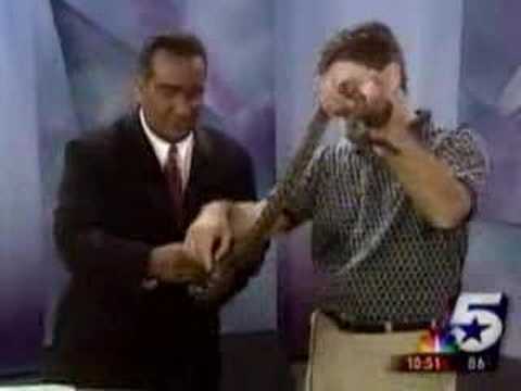 Dallas Funny News - Lizard Jumps on News Guy