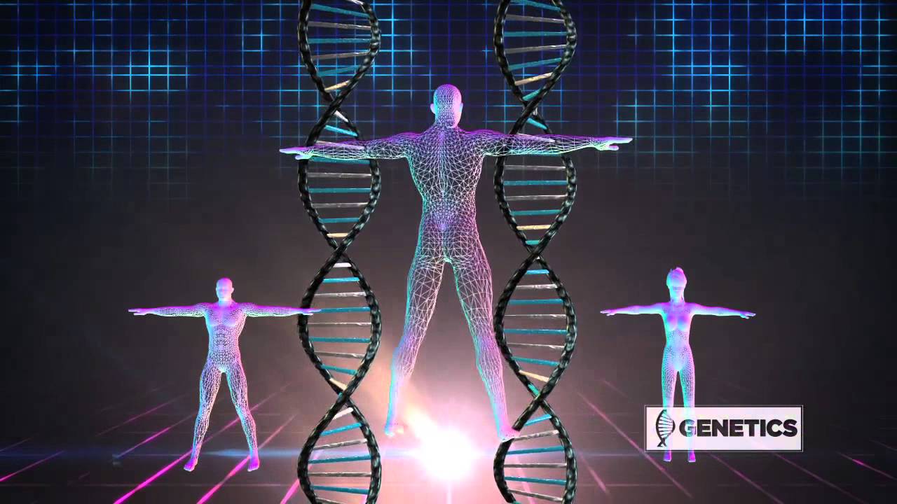 The Secret to a Perfect Body - Genetics