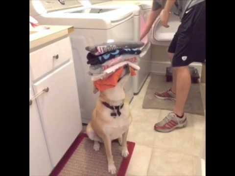 When You Need a Helping Hand